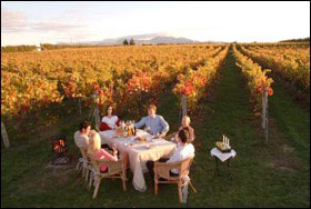 13 Day New Zealand Wine, Food & Art - New Zealand Tours - Dive Discovery New Zealand