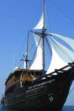 Archipelago Adventurer I & II - Indonesia Liveaboards