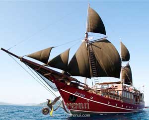 Arenui Indonesian Liveaboards