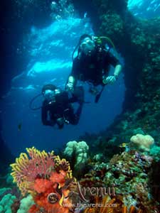 Arenui Indonesian Liveaboards