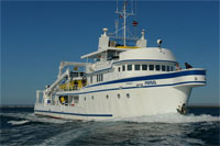 Argo - Cocos Island Liveaboards