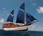 MS Aurora - Indonesia Liveaboards - Dive Discovery Indonesia
