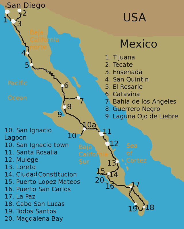Whale Watching Map, Baja, Mexico - Dive Discovery