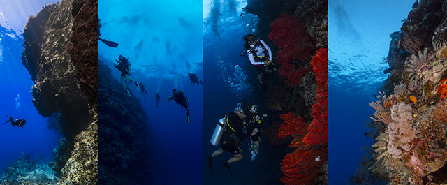 Diving - Barefoot Kuata Island - Fiji Dive Resorts