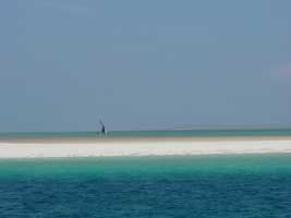 MOZAMBIQUE DIVING (BAZARUTO ARCHIPELAGO)