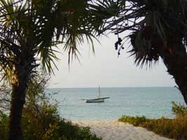 MOZAMBIQUE DIVING (BAZARUTO ARCHIPELAGO)