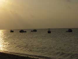 MOZAMBIQUE DIVING (BAZARUTO ARCHIPELAGO)