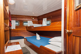 Cabin - M/S Beagle - Galapagos Liveaboards - Dive Discovery Galapagos