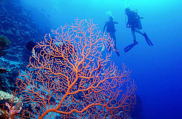 Beqa Lagoon Resort - Fiji Dive Resorts - Dive Discovery Fiji Islands