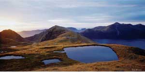 Best of New Zealand Top to Bottom - New Zealand Tour - Dive Discovery New Zealand