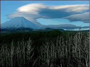 Best of New Zealand Top to Bottom - New Zealand Tour - Dive Discovery New Zealand