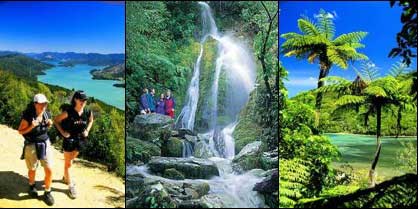 Best of New Zealand Top to Bottom - New Zealand Tour - Dive Discovery New Zealand
