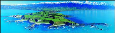 Best of New Zealand Top to Bottom - New Zealand Tour - Dive Discovery New Zealand