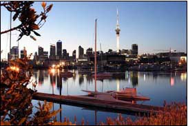 Best of New Zealand Top to Bottom - New Zealand Tour - Dive Discovery New Zealand