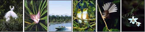 Best of New Zealand Top to Bottom - New Zealand Tour - Dive Discovery New Zealand