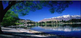 Best of New Zealand Top to Bottom - New Zealand Tour - Dive Discovery New Zealand