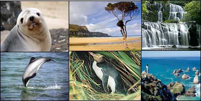 Best of New Zealand Top to Bottom - New Zealand Tour - Dive Discovery New Zealand