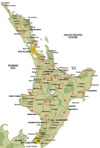 Best of New Zealand Top to Bottom - New Zealand Tour - Dive Discovery New Zealand