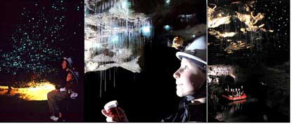 Best of New Zealand Top to Bottom - New Zealand Tour - Dive Discovery New Zealand