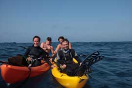 Blue Whales with AMOS NACHOUM - Dive Discovery