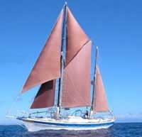 Blue Lagoon Resort - Tonga Dive Resorts