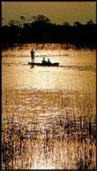 Chobe River