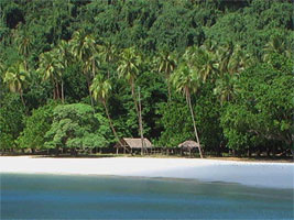 Butterfly Adventure Tours