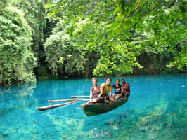 Butterfly Adventure Tours