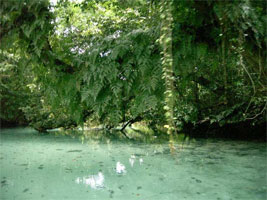 Butterfly Adventure Tours