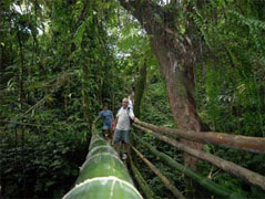 Butterfly Adventure Tours