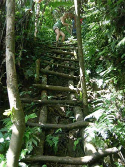 Butterfly Adventure Tours