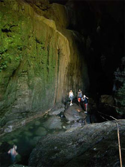 Butterfly Adventure Tours