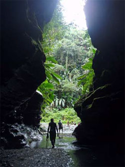 Butterfly Adventure Tours