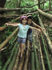 Butterfly Adventure Tours