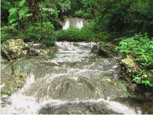 Butterfly Adventure Tours
