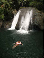 Butterfly Adventure Tours