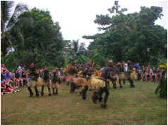 Butterfly Adventure Tours