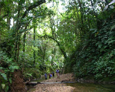 Butterfly Adventure Tours