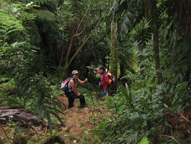 Butterfly Adventure Tours