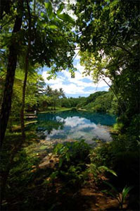 Butterfly Adventure Tours