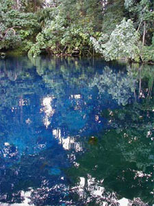 Butterfly Adventure Tours