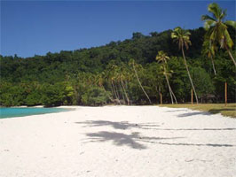 Butterfly Adventure Tours