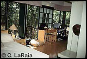 Accommodations at Phinda Game Reserve