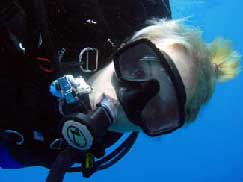 Cage Dive with Tiger Sharks, Bahamas