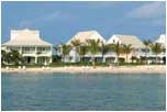 OLD BAHAMA BAY RESORT - Cage Dive with Tiger Sharks, Bahamas