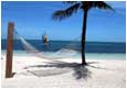 OLD BAHAMA BAY RESORT - Cage Dive with Tiger Sharks, Bahamas
