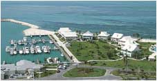 OLD BAHAMA BAY MARINA - Cage Dive with Tiger Sharks, Bahamas