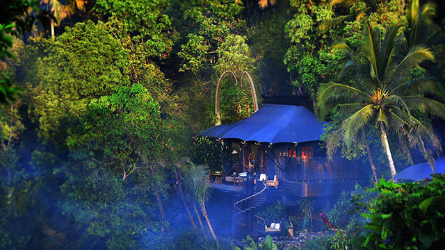 Capella Ubud, Bali - Resorts in Bali - Dive Discovery Indonesia