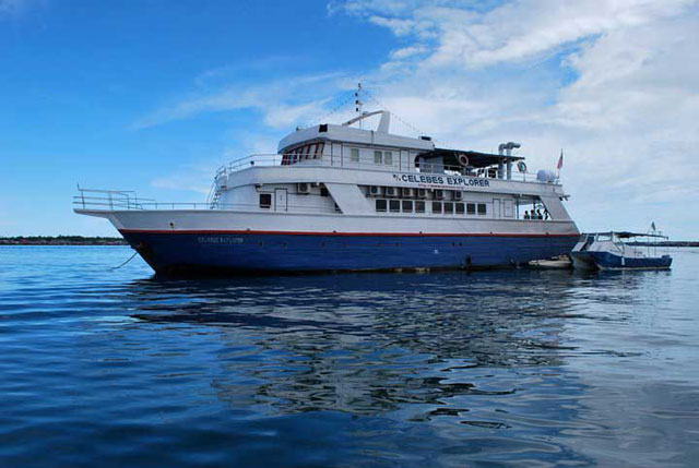 MV Celebes Explorer - Malasia Live Aboards