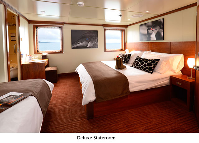 Deluxe Stateroom - Celebrity Xperience - Galapagos Liveaboards - Dive Discovery Galapagos